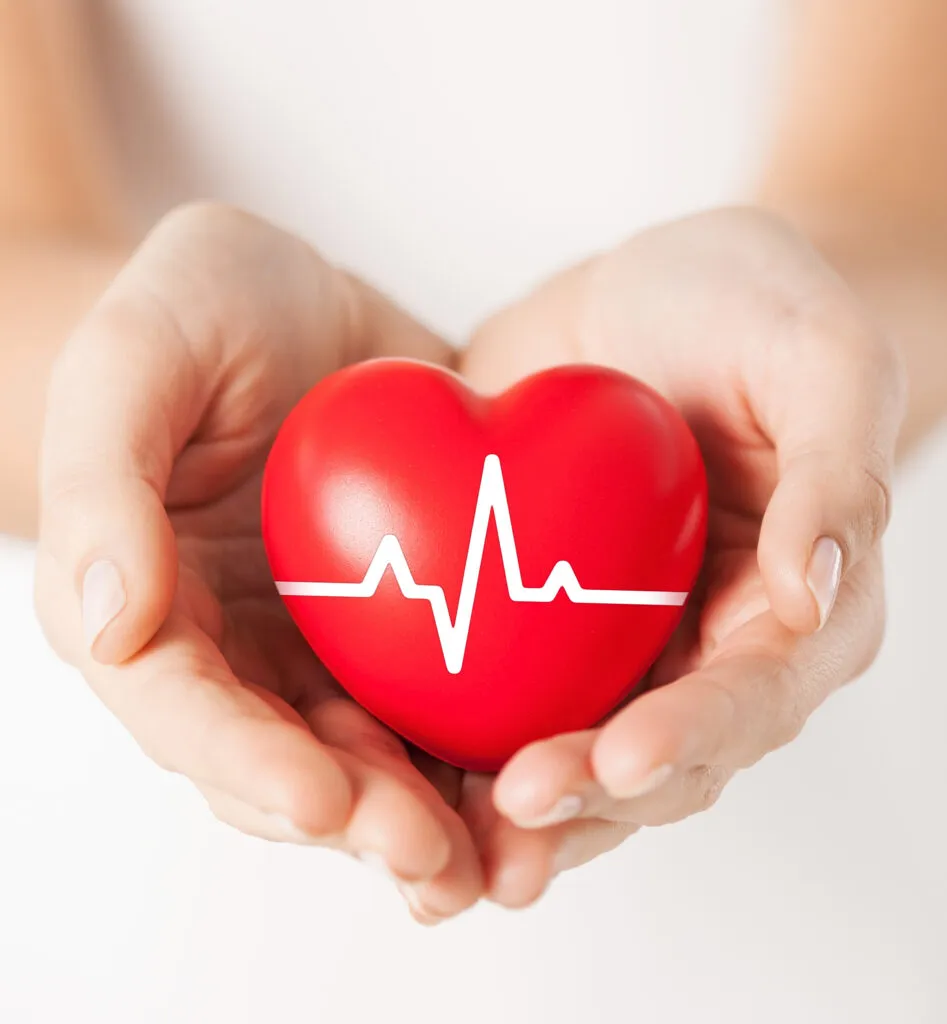 Omega-3 từ hạt chia và hạt lanh giúp bảo vệ tim mạch.