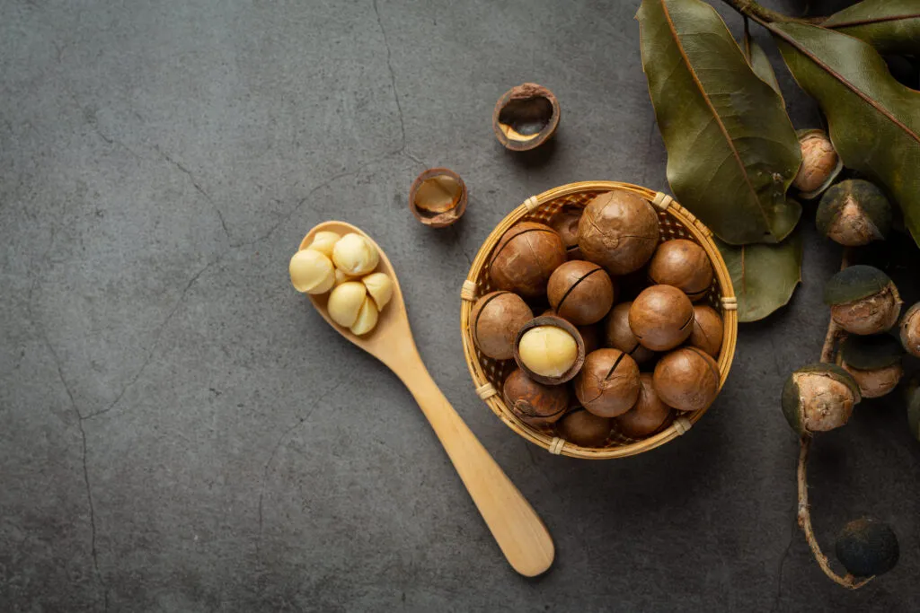 heap macadamia raw seed