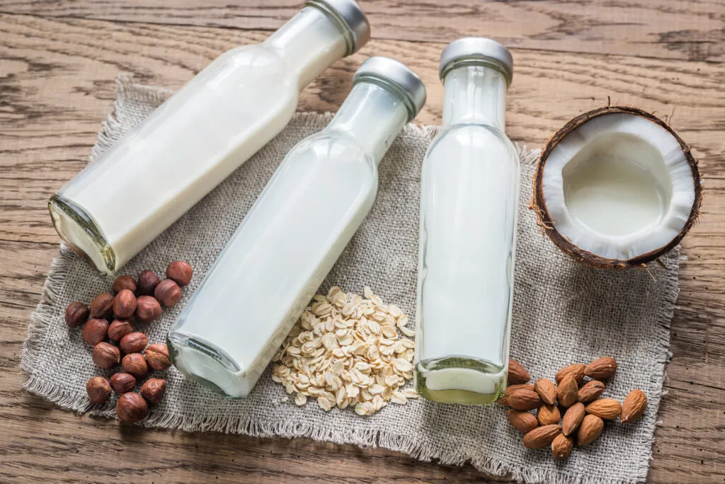 different types non dairy milk