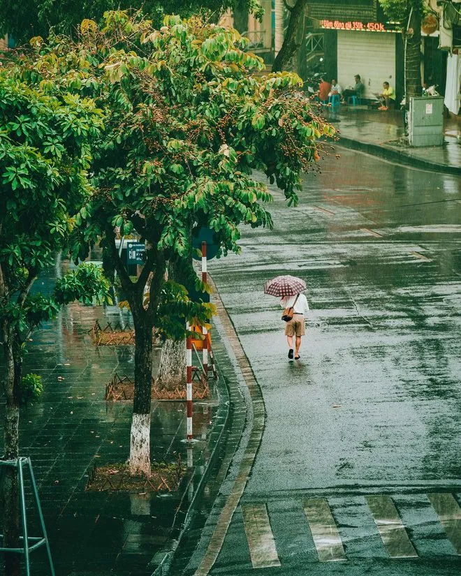 Không gian trầm lắng ngày mưa gợi cảm hứng chọn mùi hương phù hợp