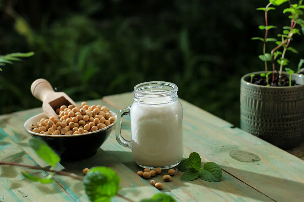 soy milk glass soy bean bowl healthy concept non dairy milk